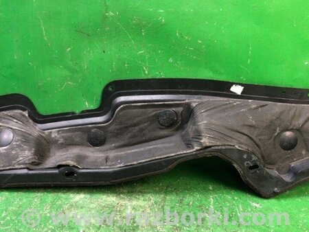 ФОТО Жабо під лобове скло (пластик) для Ford Edge 1 U387 (01.2006-04.2015) Киев
