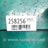ФОТО Натягувач ременя генератора для Volkswagen Jetta USA (10-17) Киев