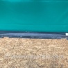 Накладка порогу зовнішня Lexus RX300/330/350/400 (03-09)