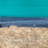 ФОТО Накладка порогу зовнішня для Lexus RX300/330/350/400 (03-09) Киев
