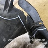 ФОТО Підкрилок для Ford Fusion USA 2 поколение (12-15) Киев