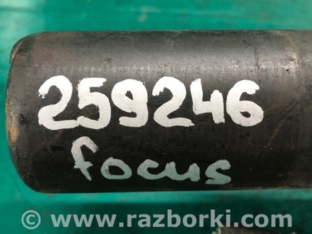 ФОТО Амортизатор для Ford Focus 3 (01.2010 - 03.2018) Киев