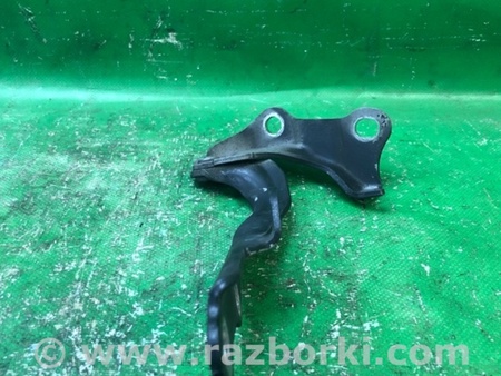 ФОТО Петля капоту для Lexus ES300/ES330 (01-06) Киев