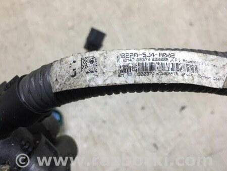 ФОТО Проводка підкапотна з фішками для Acura TLX (09.2014-04.2020) Киев
