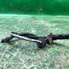 Датчик ABS Subaru Outback BR