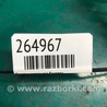 ФОТО Решітка переднього бампера для Lexus IS250/350 (2013-) Киев