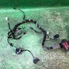 Провод дверей багажника Ford Fiesta Mk6 (2008-2017)