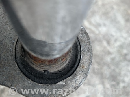 ФОТО Цапфа для Nissan Altima L32 Киев