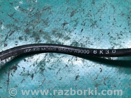 ФОТО Датчик ABS для KIA Sedona (14-18) Киев