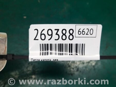 ФОТО Петля капоту для KIA Sedona (14-18) Киев