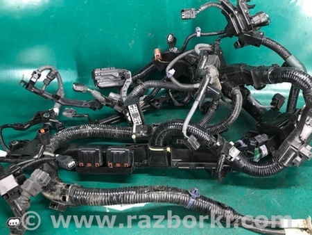 ФОТО Проводка підкапотна з фішками для Acura RDX TC1/2 (2019-) Киев