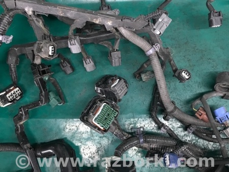 ФОТО Проводка підкапотна з фішками для Acura RDX TB3, TB4 (03.2012-12.2015) Киев