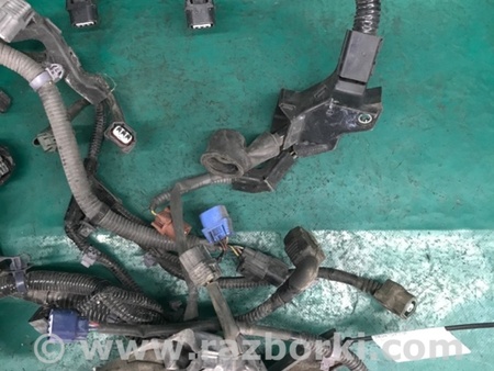 ФОТО Проводка підкапотна з фішками для Acura RDX TB3, TB4 (03.2012-12.2015) Киев