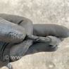 ФОТО Датчик ABS для Nissan Versa B17 Киев