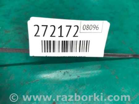 ФОТО Ремінь безпеки для Acura RDX TB3, TB4 (03.2012-12.2015) Киев