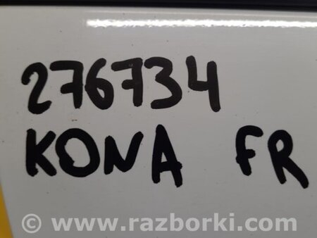 ФОТО Двері для Hyundai Kona OS (17-23) Киев