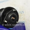 ФОТО Амортизатор для Mitsubishi Lancer X 10 (08-17) Киев