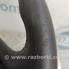 ФОТО кермо для Honda Accord CU (12.2008 - 03.2013) Киев