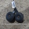 ФОТО Сигнал для Nissan Teana J32 Киев