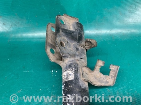 ФОТО Амортизатор для Nissan Micra K12 (2002-2010) Киев