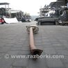 ФОТО Глушник для Honda Accord CL (10.2002 - 11.2008) Киев