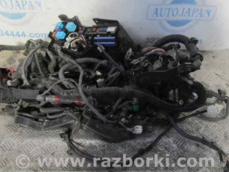 ФОТО Проводка підкапотна з фішками для Toyota Camry 40 XV40 (01.2006-07.2011) Киев
