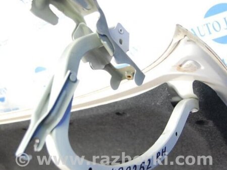 ФОТО Кришка багажника для Lexus ES350 (06-12) Киев