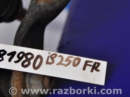 ФОТО Стабілізатор передній для Lexus IS250/350 (06-12) Киев