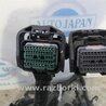 ФОТО Проводка підкапотна з фішками для Honda Accord CW (12.2008 - 03.2013) Киев