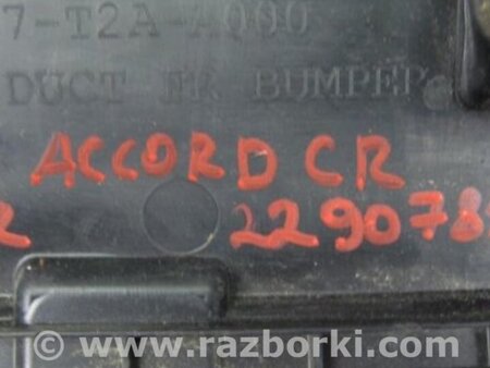 ФОТО Захист бампера переднього для Honda Accord CR CT (06.2013 - 01.2020) Киев