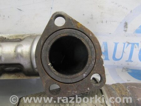 ФОТО Глушник для Honda Accord Coupe (07-12) Киев