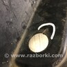 ФОТО Захист заднього бампера для Lexus RX350/450 (09-15) Киев