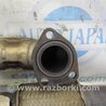 ФОТО Глушник для Acura RDX TB3, TB4 (03.2012-12.2015) Киев