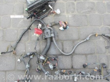 ФОТО Проводка підкапотна з фішками для Mitsubishi Galant Киев