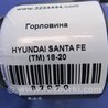 ФОТО Горловина бензобака для Hyundai Santa Fe TM Киев