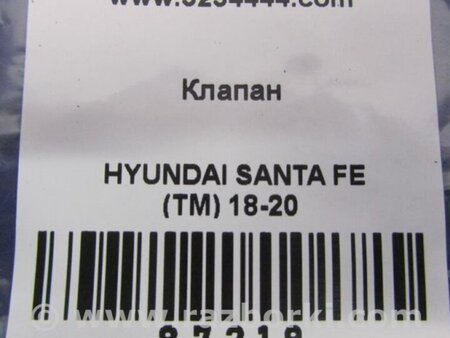 ФОТО Клапан кондиціонера для Hyundai Santa Fe TM Киев