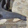 ФОТО поворотний кулак для Hyundai Tucson TL (15-20) Киев