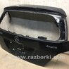 ФОТО Кришка багажника для Mercedes-Benz R-CLASS W251 (05-13) Киев