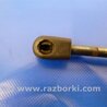 ФОТО Амортизатор капоту для Mercedes-Benz R-CLASS W251 (05-13) Киев