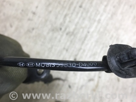 ФОТО Датчик ABS для KIA Optima JF Киев