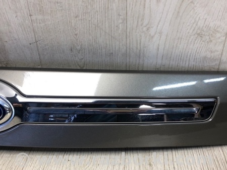 ФОТО Панель підсвічування номера для Ford Edge 1 U387 (01.2006-04.2015) Киев