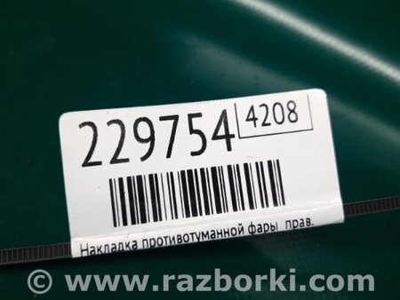 ФОТО Накладка протитуманної фари для Ford Focus 3 (01.2010 - 03.2018) Киев
