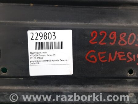 ФОТО Захист двигуна для Hyundai Genesis Sedan (08-13) Киев