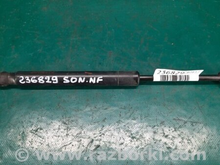 ФОТО Амортизатор кришки багажника для Hyundai Sonata NF (09.2004-10.2010) Киев