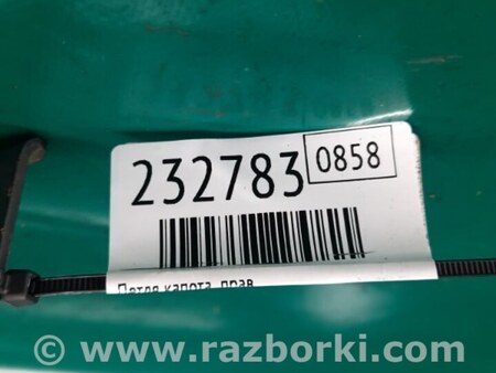 ФОТО Петля капоту для Acura MDX YD1 (2000-2006) Киев