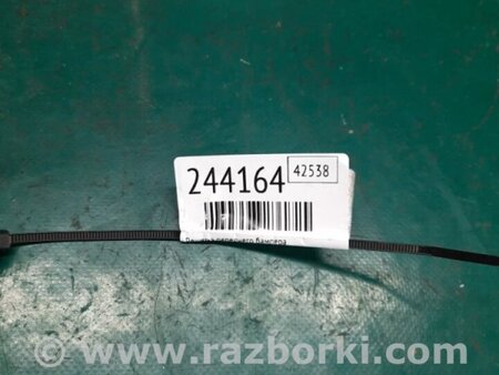 ФОТО Решітка переднього бампера для Toyota Matrix (08-14) Киев