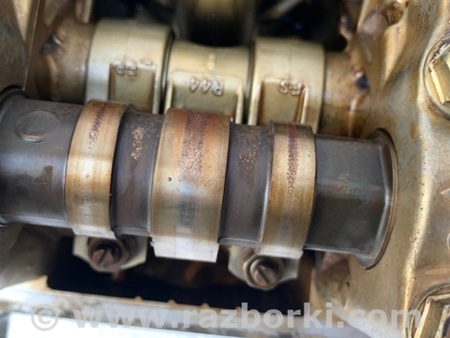 ФОТО Головка блоку циліндрів для Honda Accord CW (12.2008 - 03.2013) Киев