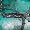 ФОТО Проводка підкапотна з фішками для Volkswagen Passat B8 (07.2014-...) Киев