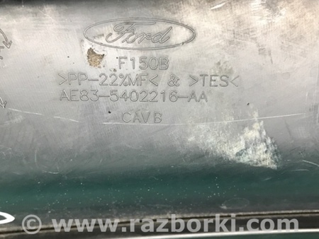 ФОТО Жабо під лобове скло (пластик) для Ford Fiesta Mk6 (2008-2017) Киев