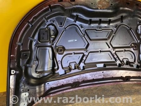 ФОТО Капот для Ford Edge 2 (02.2015-...) Киев